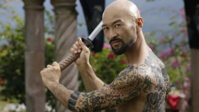 Teaser for Falcon Rising