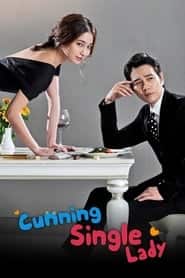 پوستر رسمی سریال Cunning Single Lady (2014)