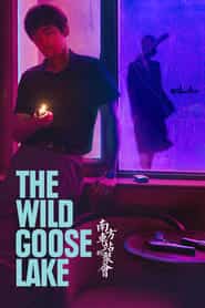 پوستر رسمی فیلم The Wild Goose Lake (2019)