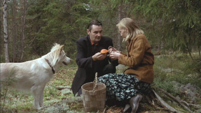 Teaser for The Man Without a Past