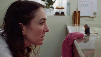 Teaser for Little Jar