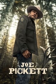 lonesome dove 40
