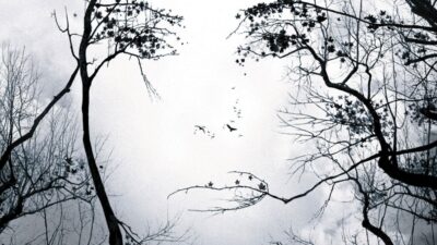 Teaser for Premonition