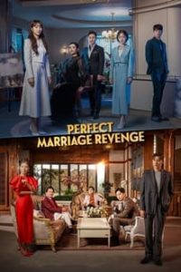 پوستر رسمی سریال Perfect Marriage Revenge (2023)