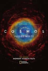 cosmos 4