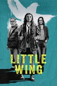 پوستر رسمی فیلم Little Wing (2024)