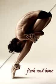 پوستر رسمی سریال Flesh and Bone (2015)