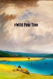 پوستر رسمی فیلم The Wild Pear Tree (2018)