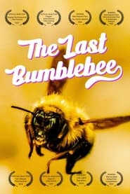 پوستر رسمی فیلم The Last Bumblebee (2024)