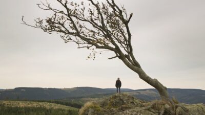 Teaser for Nymphomaniac: Vol. II