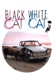 پوستر رسمی فیلم Black Cat, White Cat (1998)