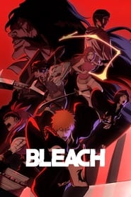 پوستر رسمی انیمه Bleach (2004)