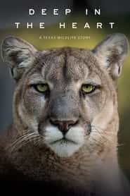 پوستر رسمی فیلم Deep in the Heart: A Texas Wildlife Story (2022)