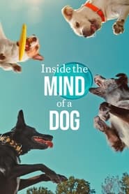 پوستر رسمی فیلم Inside the Mind of a Dog (2024)