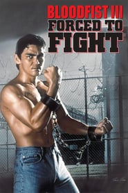 bloodfist vi: ground zero 5