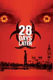 28 years later 4