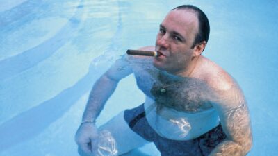 Teaser for Wise Guy: David Chase and The Sopranos