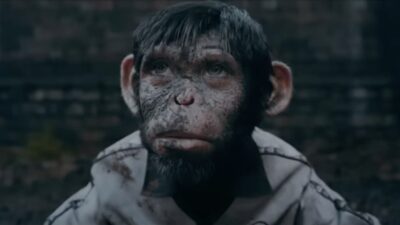 Teaser for Better Man