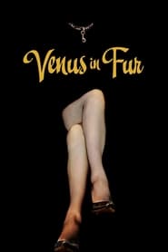پوستر رسمی فیلم Venus in Fur (2013)