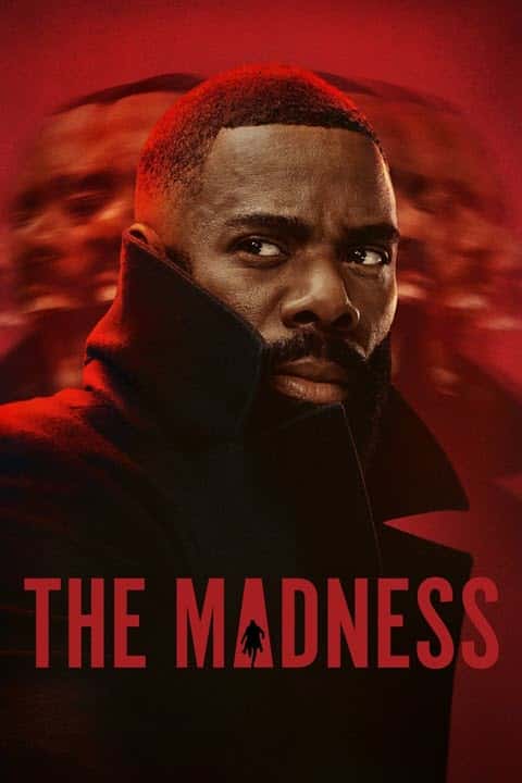 پوستر رسمی سریال The Madness (2024)
