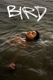 پوستر رسمی فیلم Bird (2024)