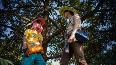 Teaser for The Paradise of Thorns