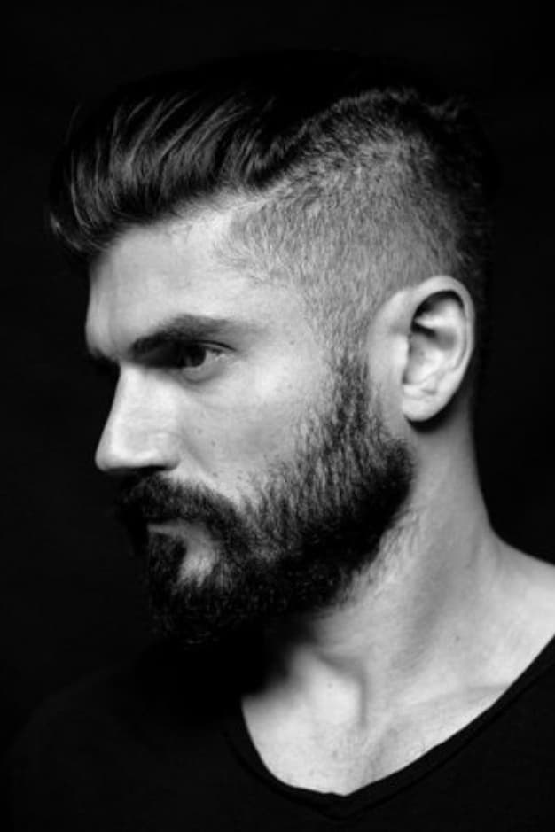 تصویر هنرمند Andrew Levitas