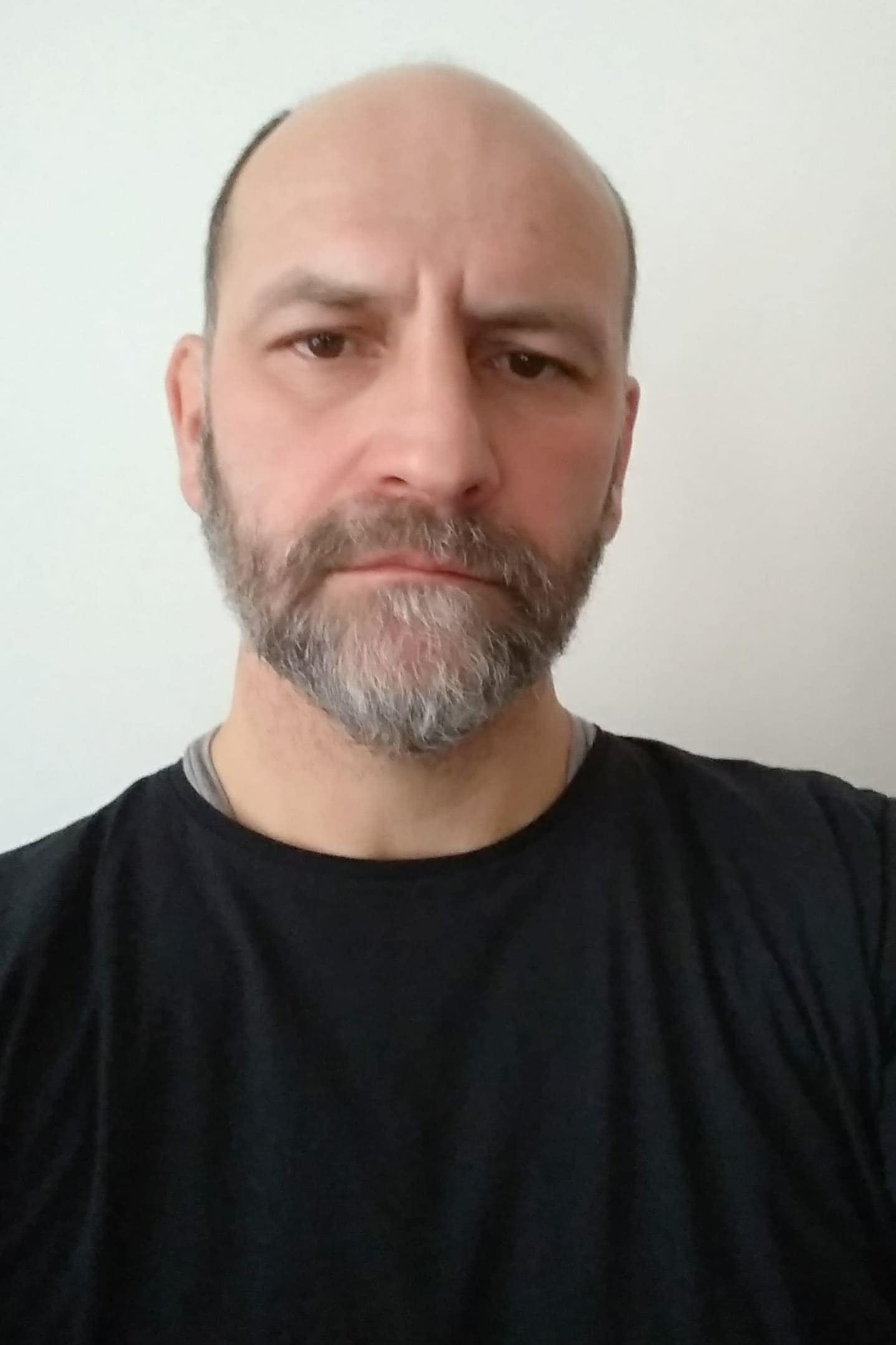 تصویر هنرمند Zsolt Páll