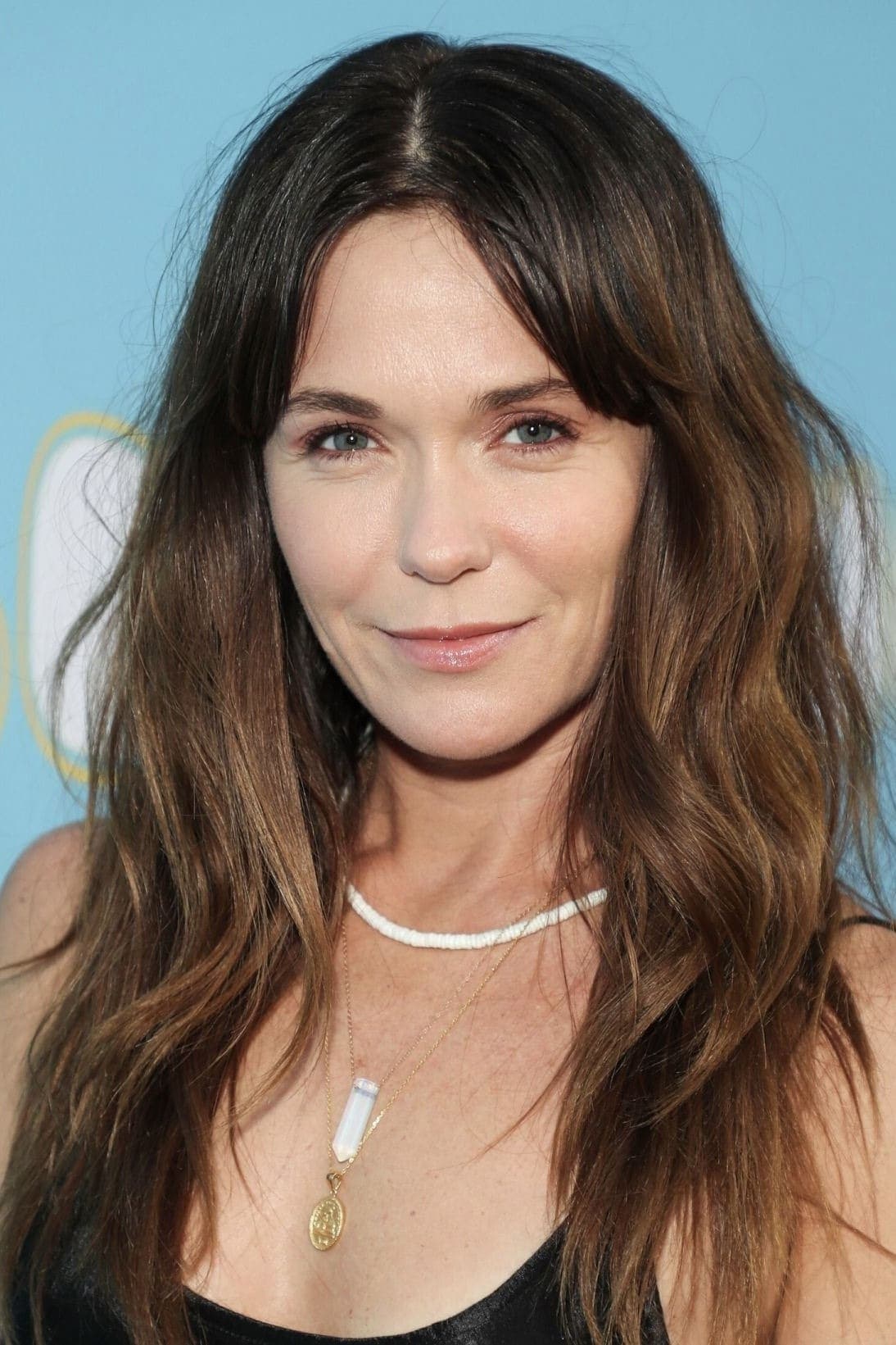 تصویر هنرمند Katie Aselton