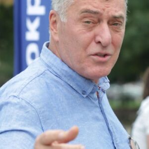 تصویر هنرمند Veselin Kalanovski