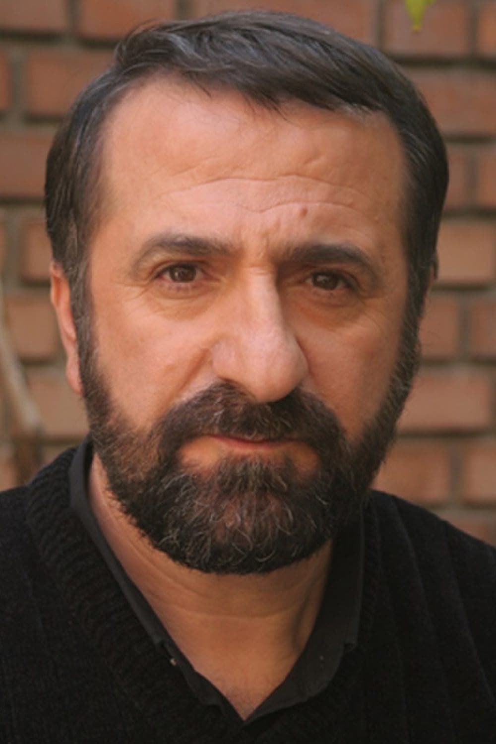تصویر هنرمند Mehran Rajabi