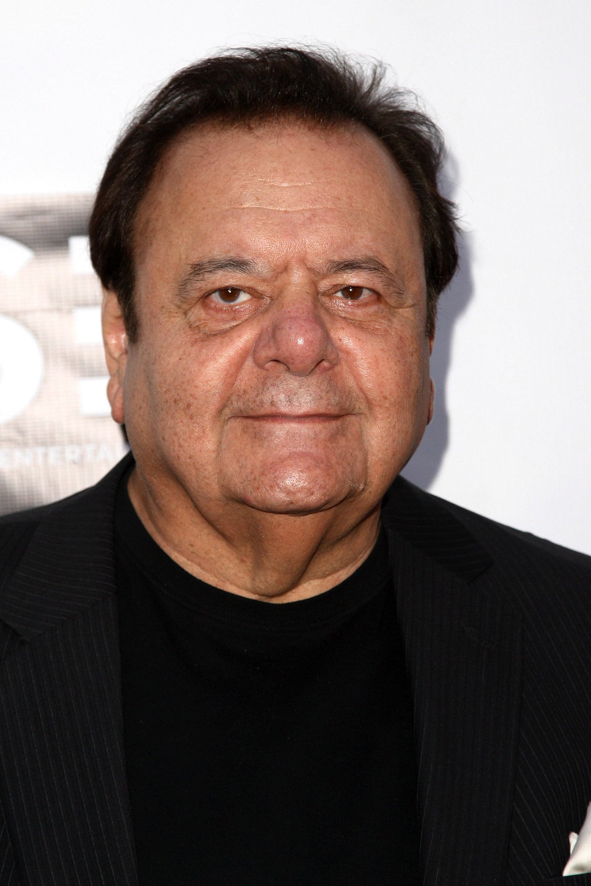 تصویر هنرمند Paul Sorvino