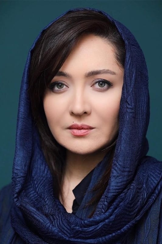 تصویر هنرمند Niki Karimi