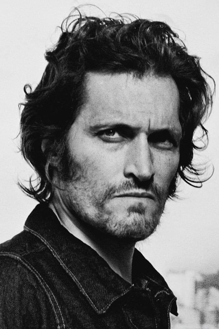 تصویر هنرمند Vincent Gallo