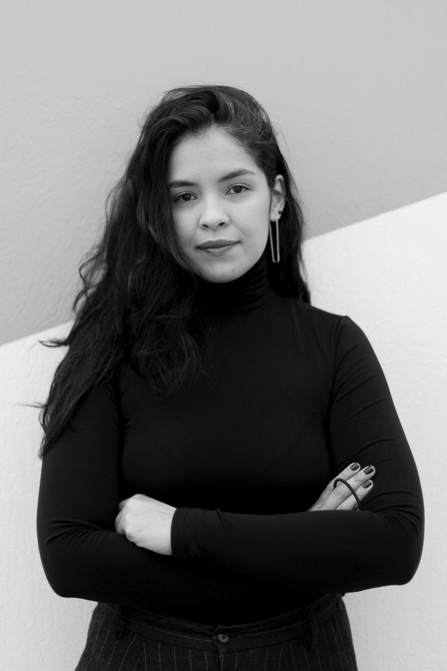 تصویر هنرمند Paola Andrea Pérez