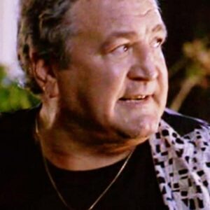 تصویر هنرمند Vic Manni