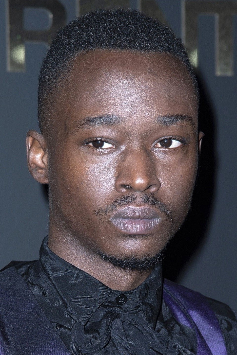 تصویر هنرمند Ashton Sanders