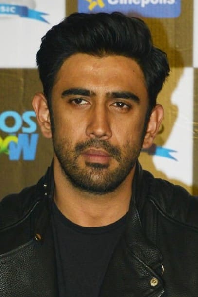 تصویر هنرمند Amit Sadh
