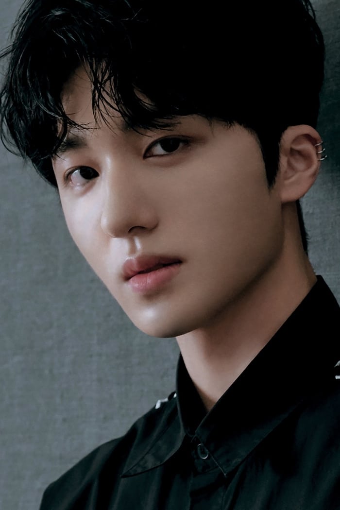 تصویر هنرمند Kang Chan-hee