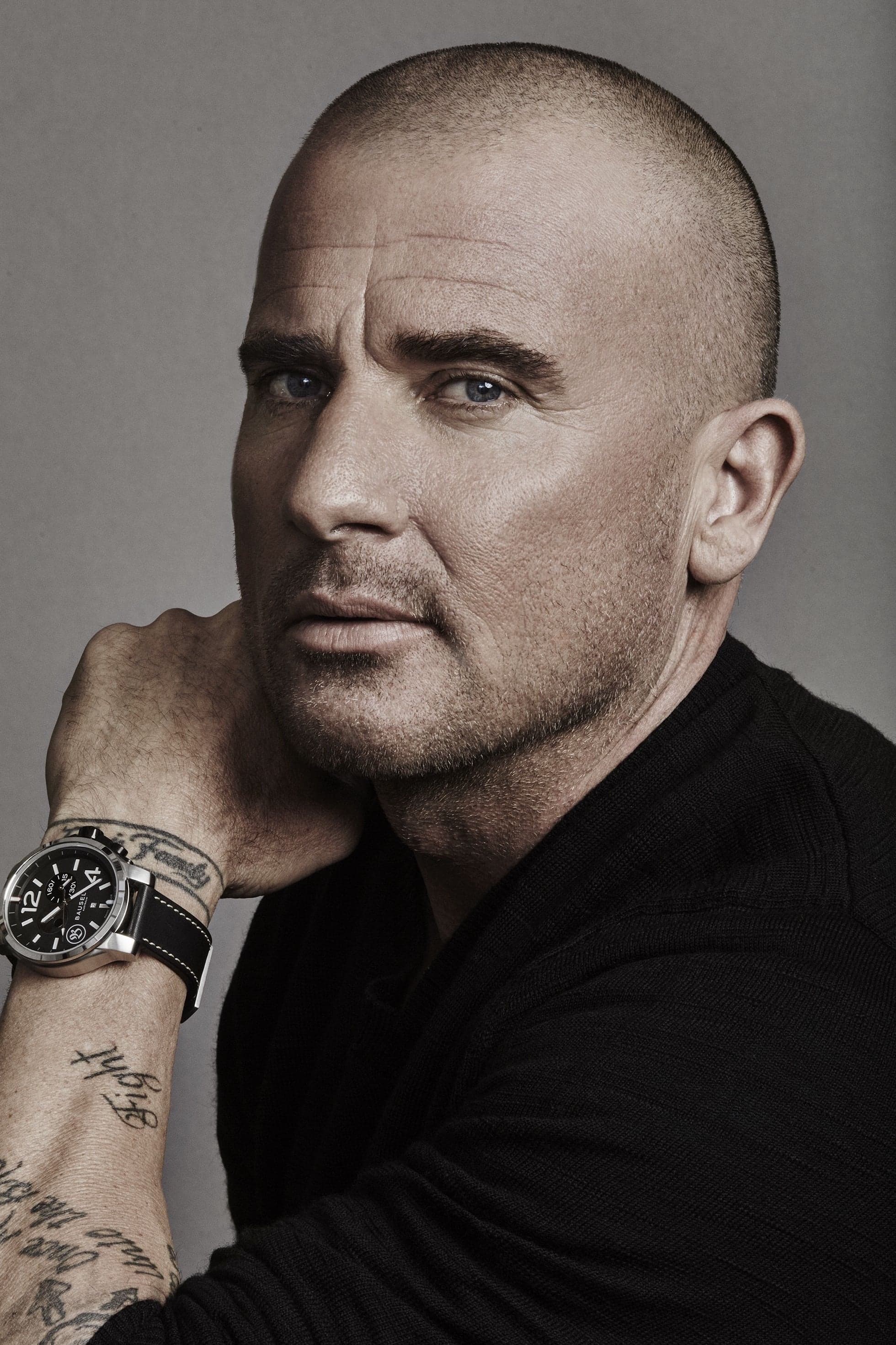 تصویر هنرمند Dominic Purcell