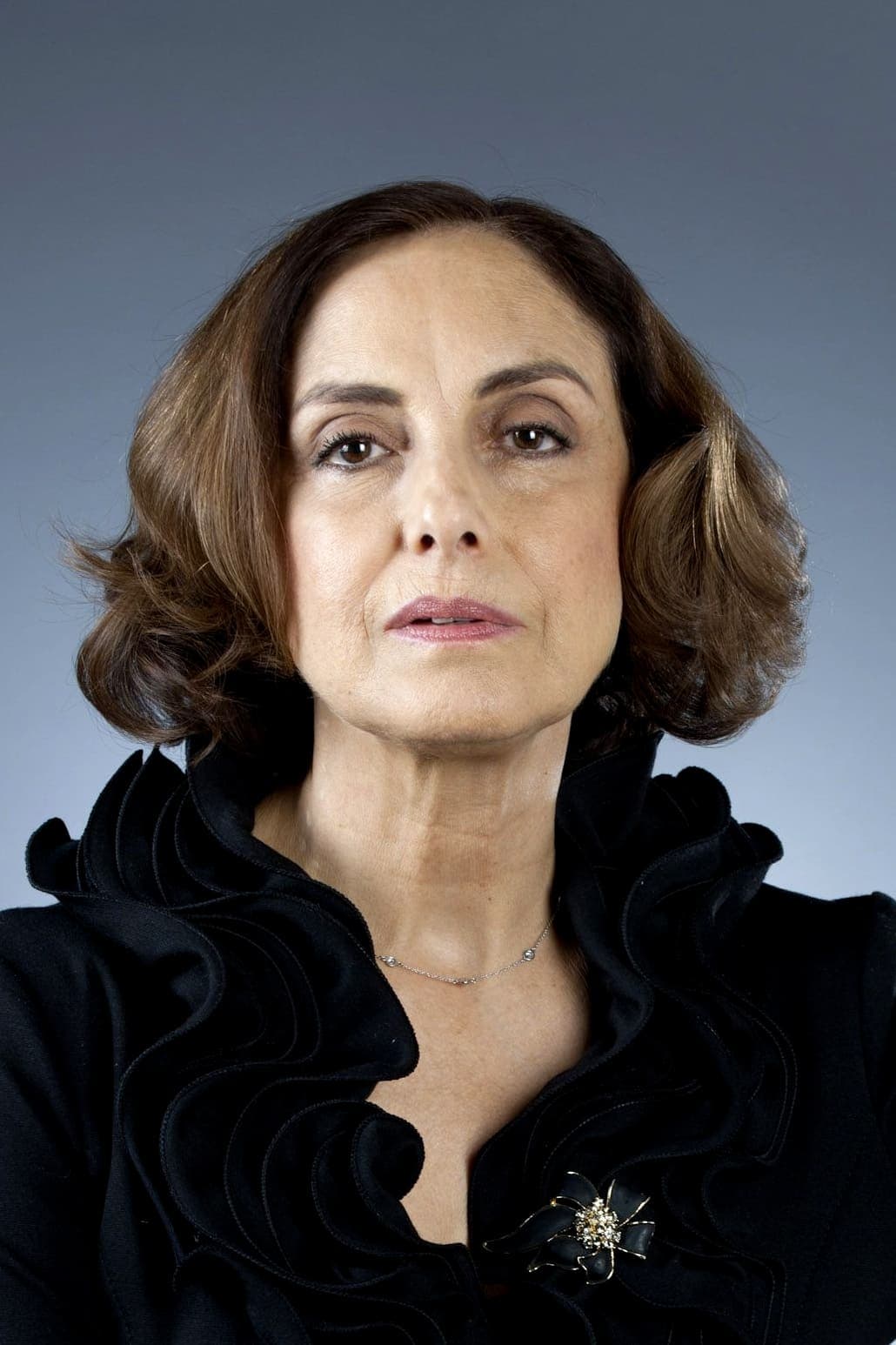 تصویر هنرمند Diana Bracho
