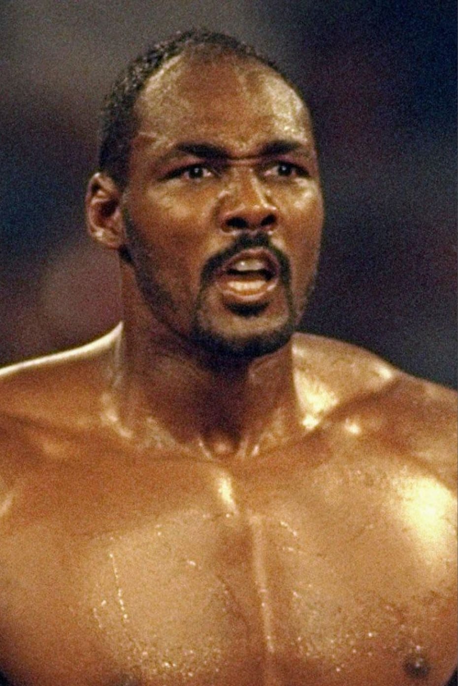 تصویر هنرمند Karl Malone