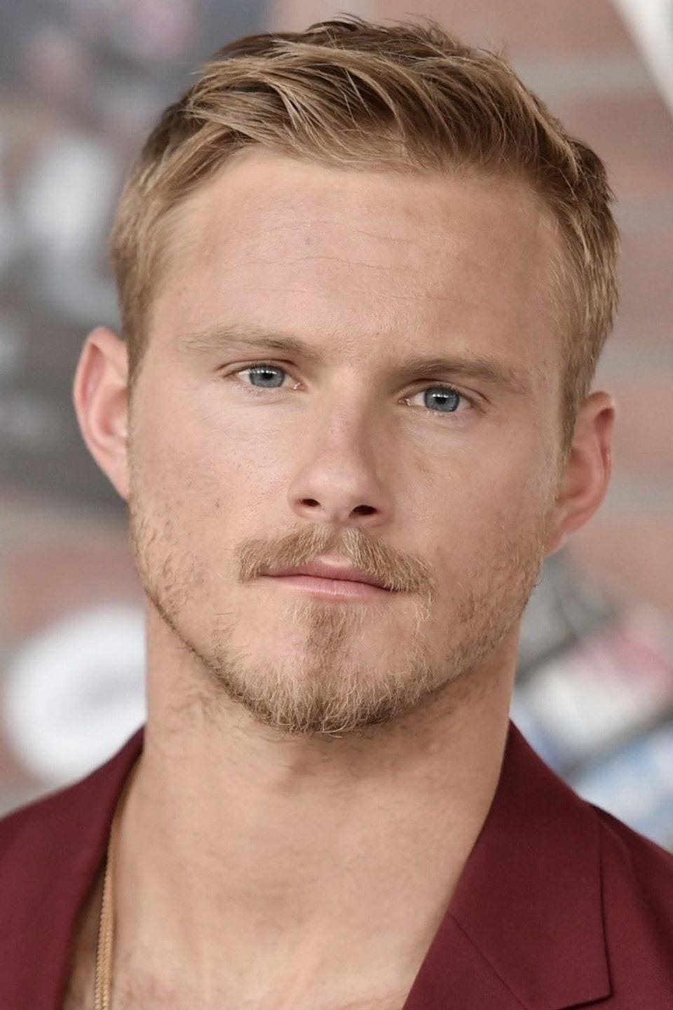 تصویر هنرمند Alexander Ludwig