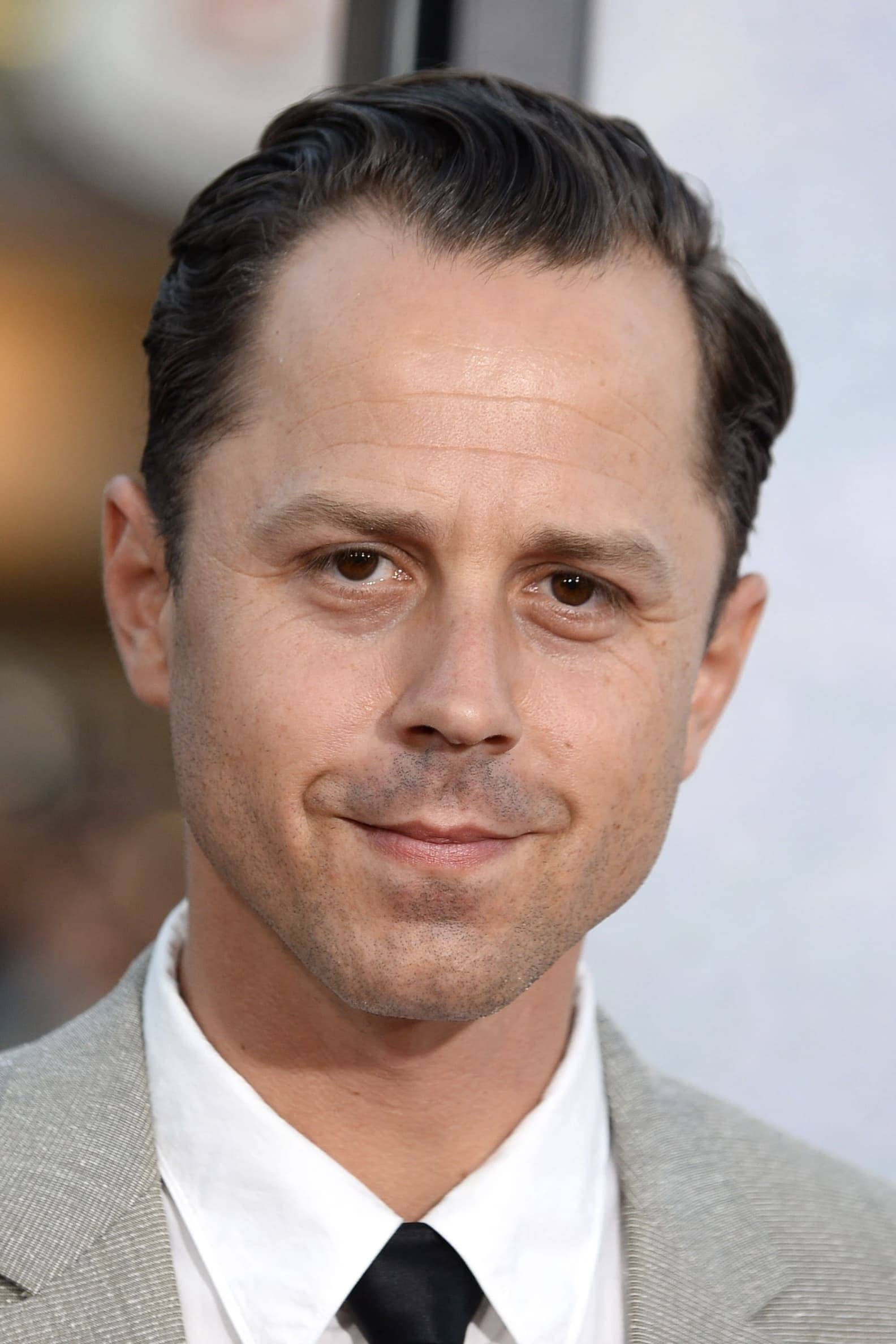تصویر هنرمند Giovanni Ribisi