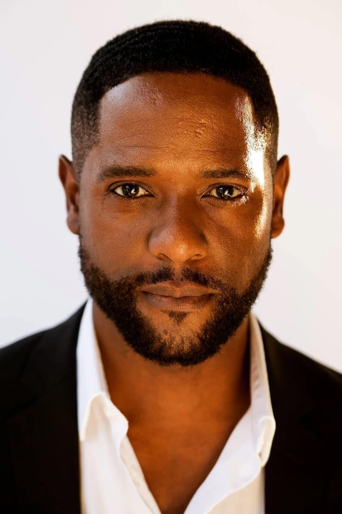 تصویر هنرمند Blair Underwood