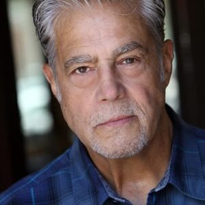 تصویر هنرمند Vincent Guastaferro