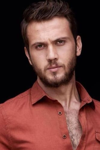 تصویر هنرمند Aras Bulut İynemli