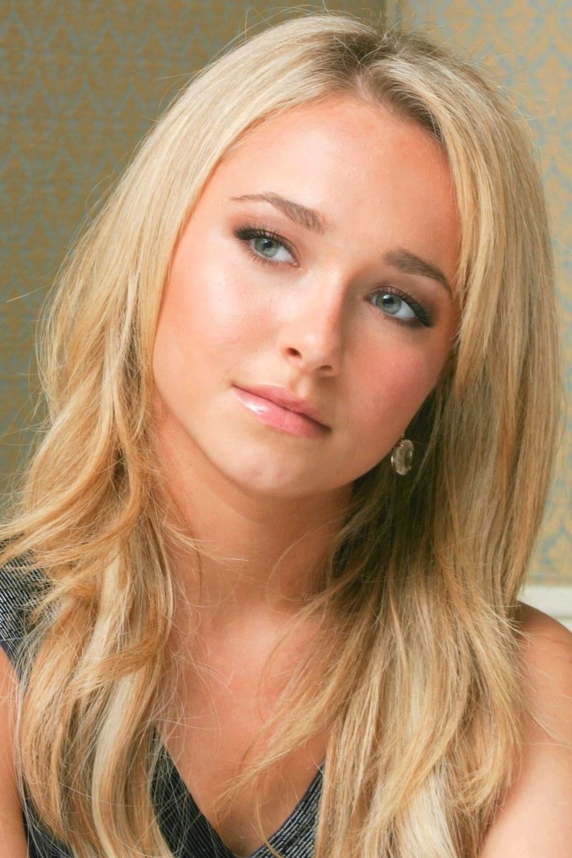 تصویر هنرمند Hayden Panettiere