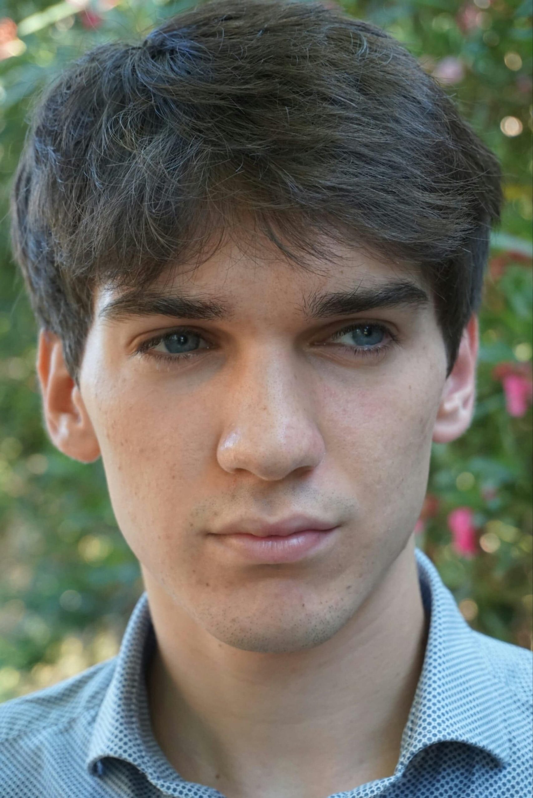 تصویر هنرمند Luca Castellano