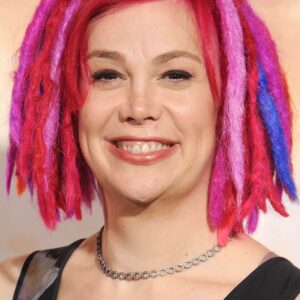 تصویر هنرمند Lana Wachowski
